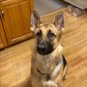 Meet your Posher, Eric